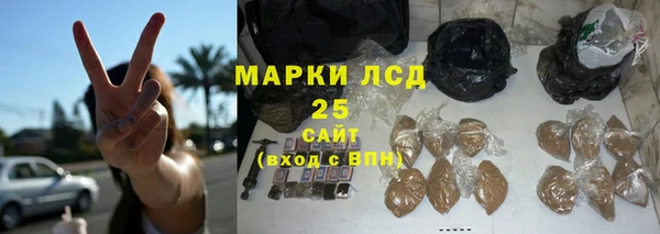 PSILOCYBIN Михайлов
