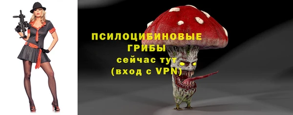 PSILOCYBIN Михайлов