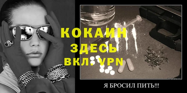 PSILOCYBIN Михайлов