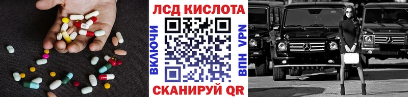 блэк спрут как зайти  Сураж  LSD-25 экстази ecstasy 