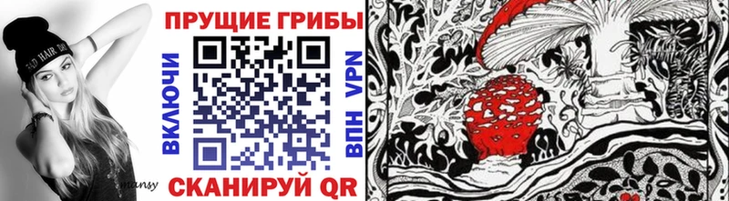 Галлюциногенные грибы GOLDEN TEACHER  Сураж 